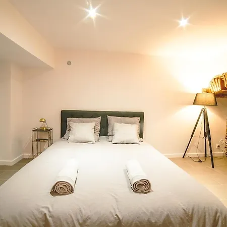Saint Sernint2 Hypercentre Appartement Toulouse