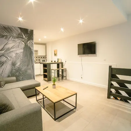 Appartement Saint Sernint2 Hypercentre
