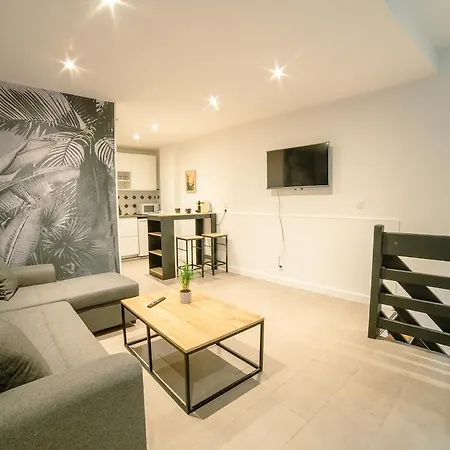 Saint Sernint2 Hypercentre Appartement *