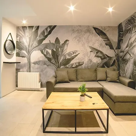Saint Sernint2 Hypercentre Appartement Toulouse